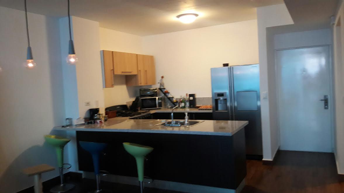 Spacious apartment for rent ocean view, 1 bedroom, avenida balboa cp17504