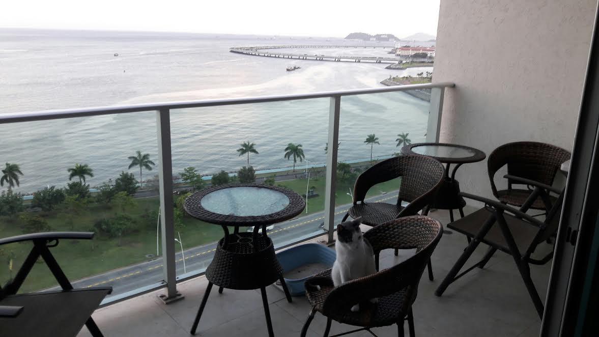 Spacious apartment for rent ocean view, 1 bedroom, avenida balboa cp17504