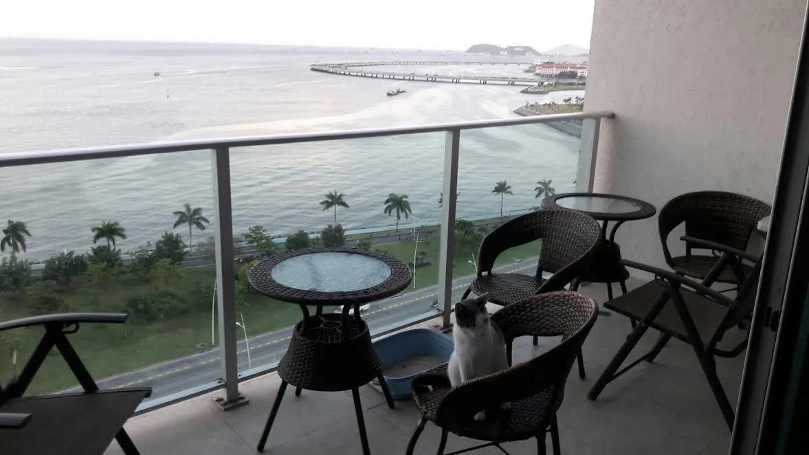 Alquilo amplio apartamento vista al mar, 1 recamara, avenida balboa cp17504 — 5