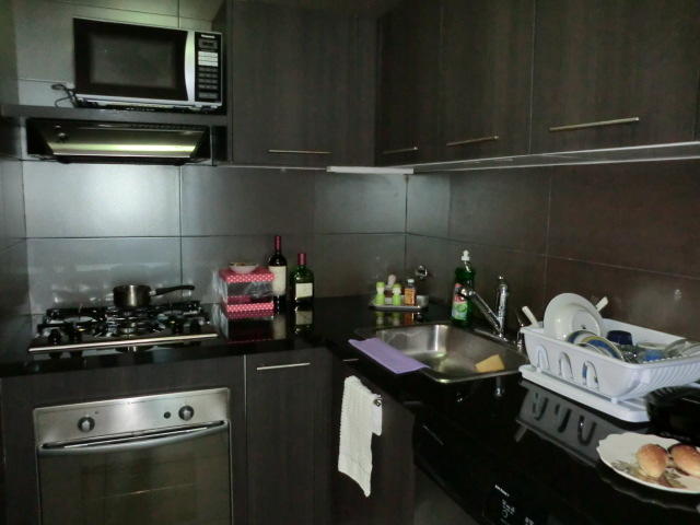 Alquilo amplio apartamento vista al mar, avenida balboa 