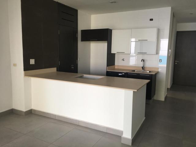 Apartamento en venta 113.52m2, avenida balboa mls17-119.rtq