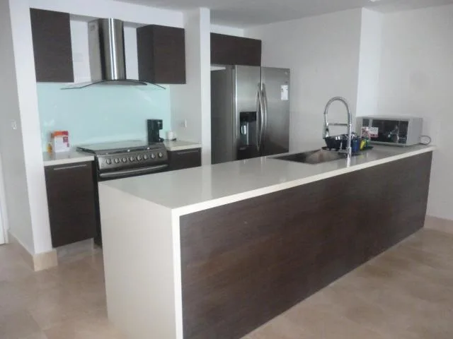 se alquila excelente apartamento en avenida balboa  — 4