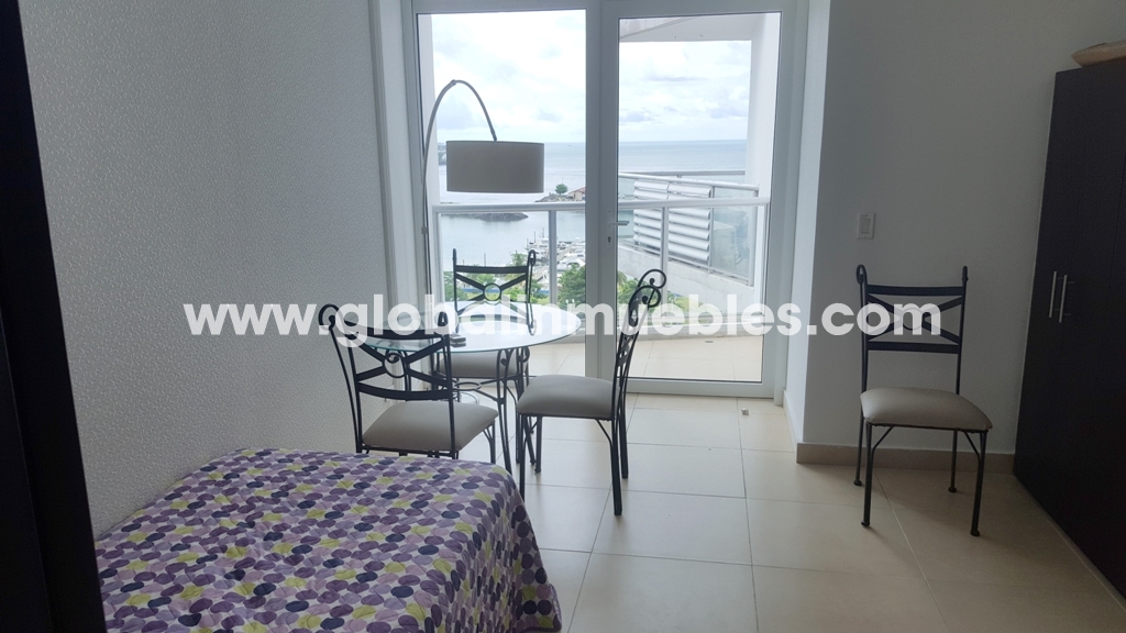 Furnished sky tower with beautiful views