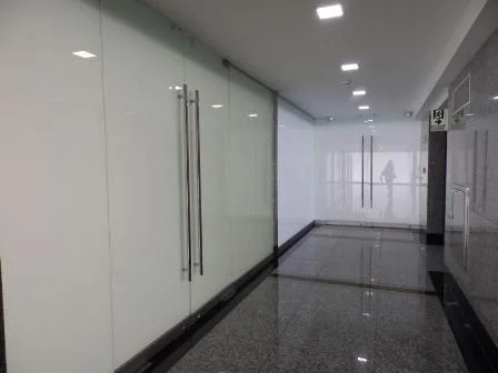 Se alquila oficinas en panama avenida balboa 17-1241 lha — 3