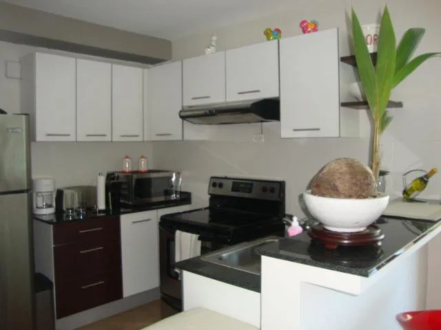 17-5259. en venta magnifico apartamento en avenida balboa. mh — 5
