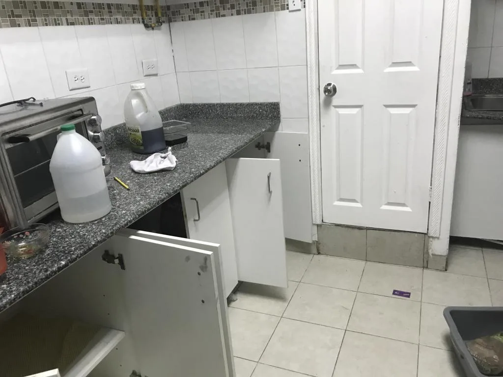 Se alquila local en avenida balboa flex #17-4811 sz — 2