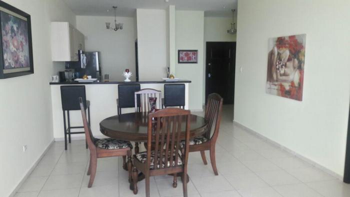 Alquilo apartamento en la avenida balboa con 110mts ais. 