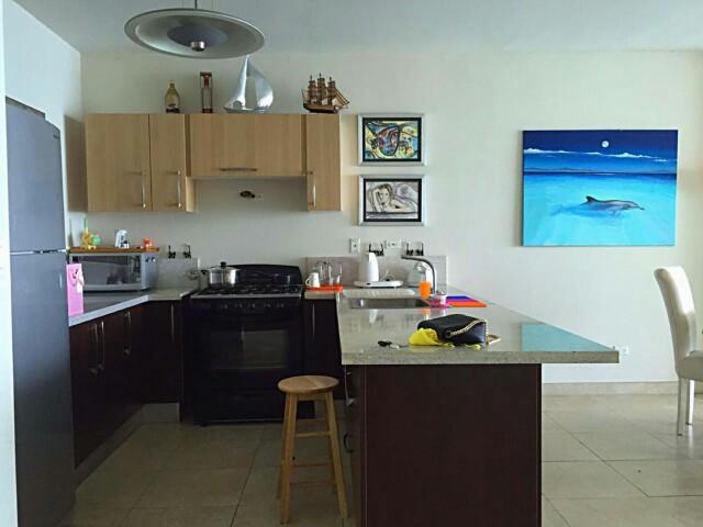 Avenida balboa invierte lindo  apartamento en venta lha 17-3870